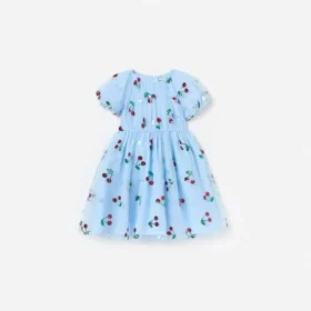 Blue Cherry Sequin Mesh Dress