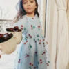 Blue Cherry Sequin Mesh Dress Blue Cherry Sequin Mesh Dress