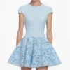 Blue Crepe Lace Mini Dress
