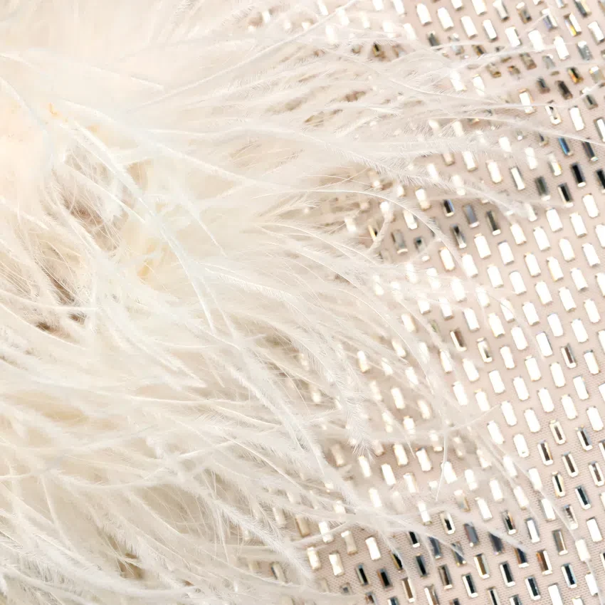 Champagne Rhinestone Feather Midi Dress Champagne Rhinestone Feather Midi Dress