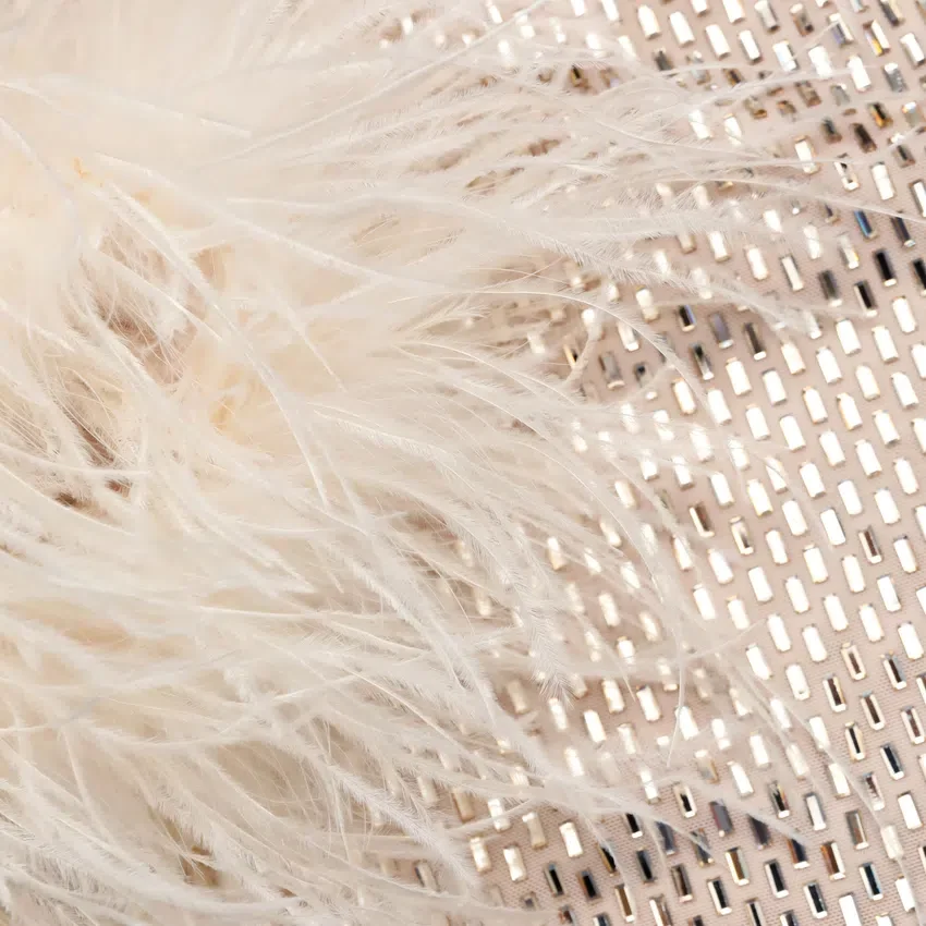 Champagne Rhinestone Feather Top Champagne Rhinestone Feather Top