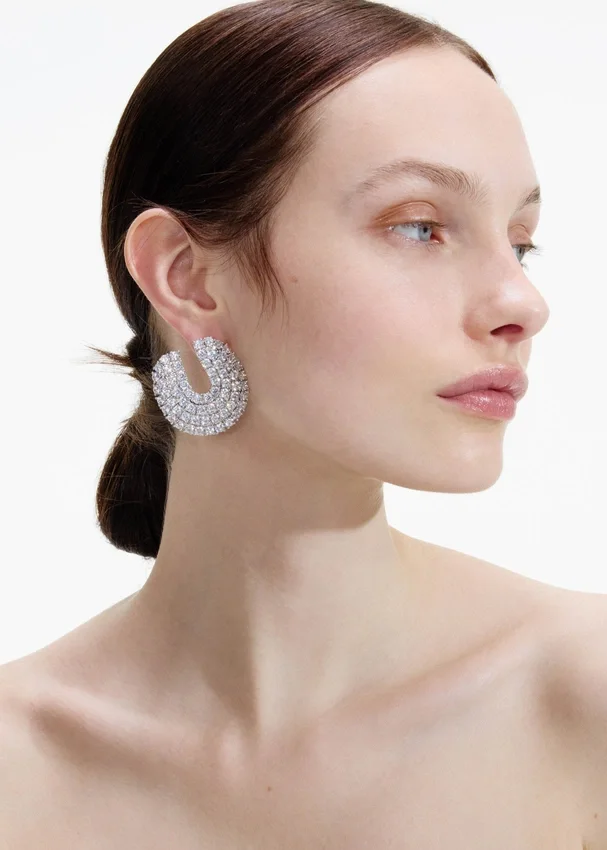 Crystal Curved Earrings Crystal Curved Earrings