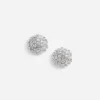 Crystal Flower Earrings Crystal Flower Earrings