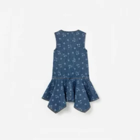 Denim Bow Printed Dress