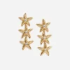 Mottled Gold Sea Star Earrings Mottled Gold Sea Star Earrings