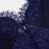 Navy Lace Georgette Maxi Dress Navy Lace Georgette Maxi Dress