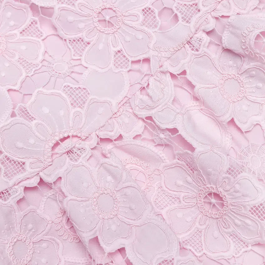 Pink Lace Collared Mini Dress Pink Lace Collared Mini Dress