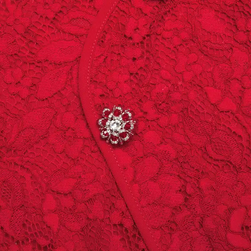 Red Fine Lace Mini Dress Red Fine Lace Mini Dress