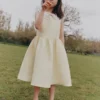 Yellow Taffeta Lace Dress Yellow Taffeta Lace Dress